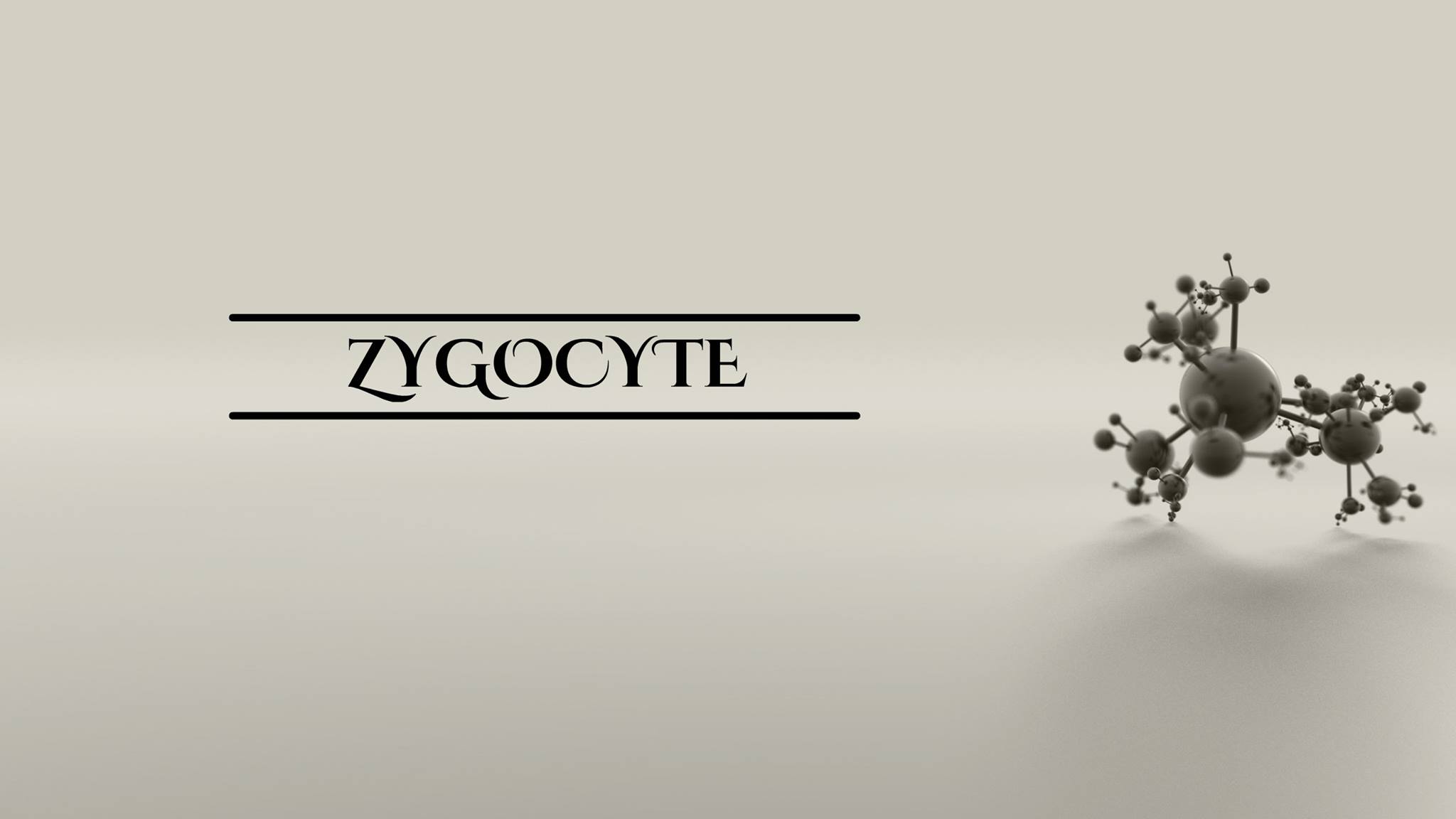 ZYGOCYTE picture