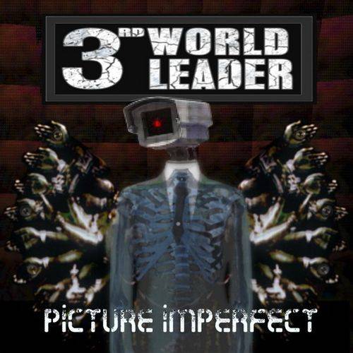 3RD WORLD LEADER - Picture Imperfect cover 