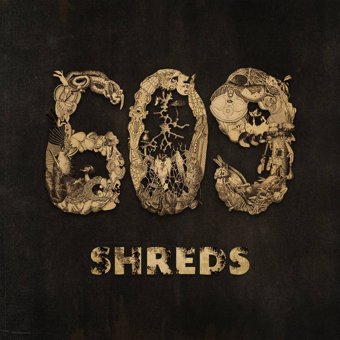 609 - Shreds cover 