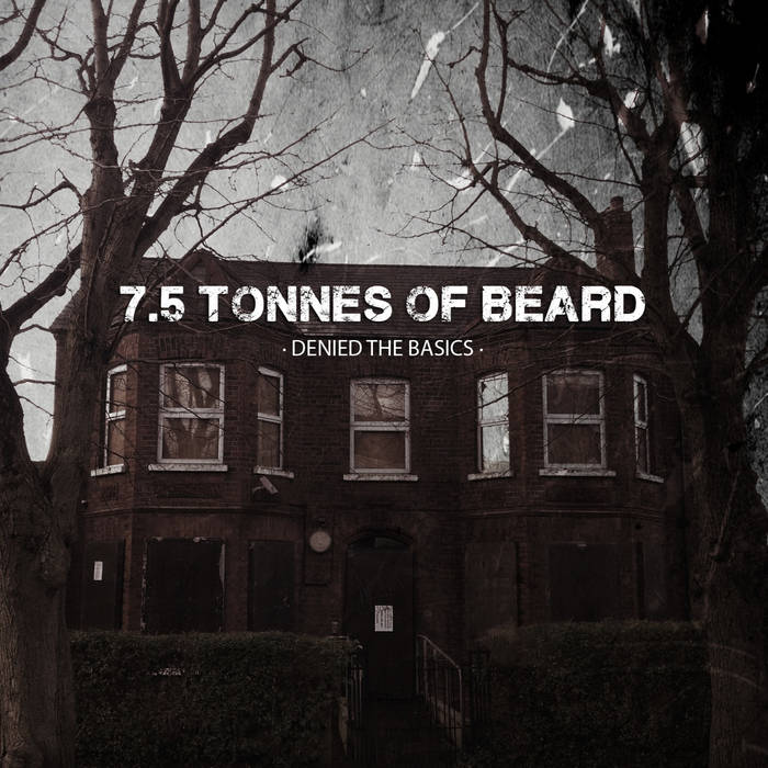 7.5 TONNES OF BEARD - Denied The Basics cover 