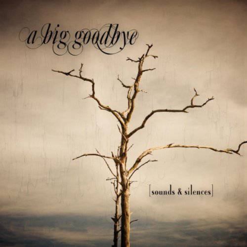 A BIG GOODBYE - Sounds & Silences cover 