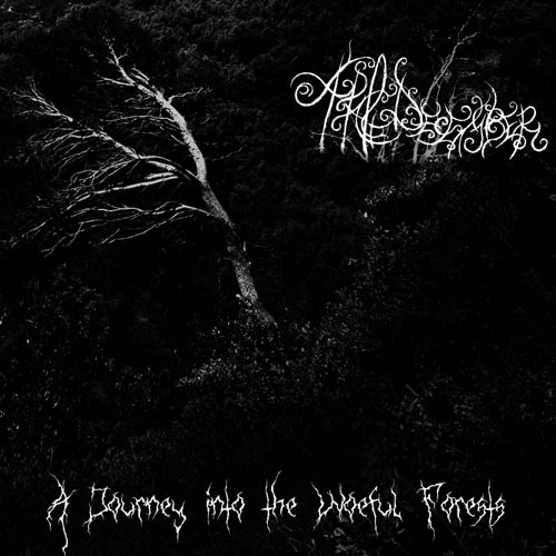A PALE DECEMBER - A Journey into the Woeful Forests cover 