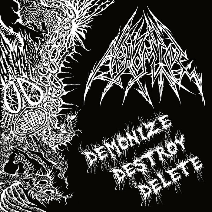 ABHOMINE - Demonize Destroy Delete cover 