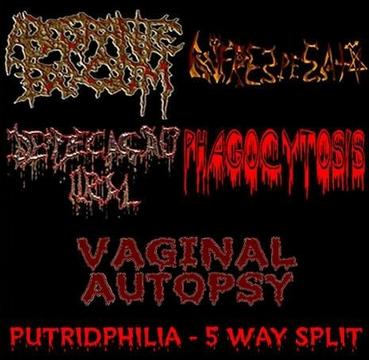 ABOSRANIE BOGOM - Putridphilia cover 