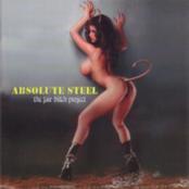 ABSOLUTE STEEL - The Fair Bitch Project cover 