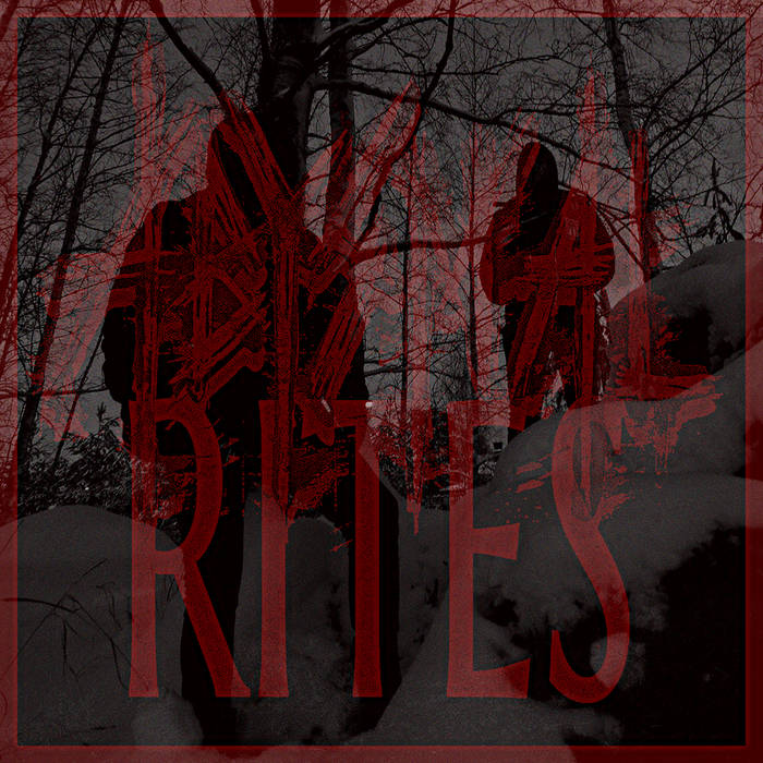 ABYSMAL RITES - Devastated cover 