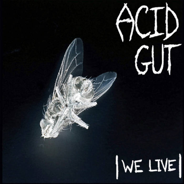ACID GUT - We Live cover 