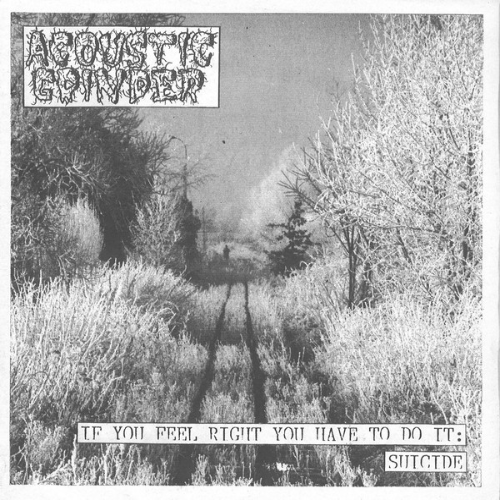 ACOUSTIC GRINDER - If You Feel Right You Have To Do It: Suicide / Greatest Shits cover 