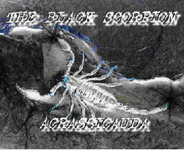ACRASSICAUDA - The Black Scorpion cover 