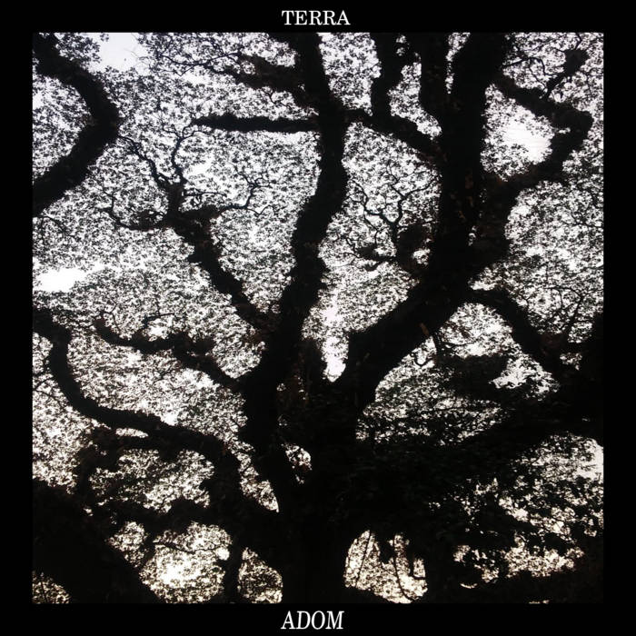 ADOM - Terra cover 