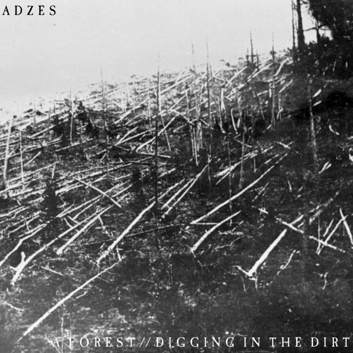 ADZES - A Forest // Digging In The Dirt cover 