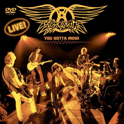 AEROSMITH - You Gotta Move cover 