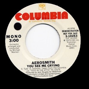 AEROSMITH - You See Me Crying cover 