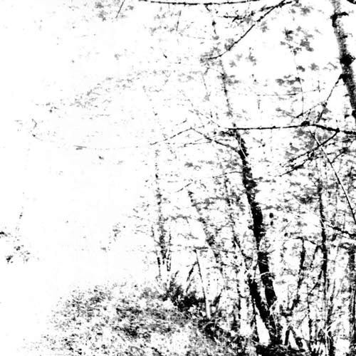 AGALLOCH - The White EP cover 