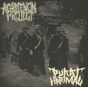 AGAMENON PROJECT - Agamenon Project / Pukat Harimau cover 