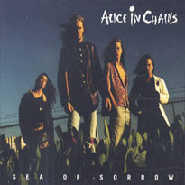 ALICE IN CHAINS - Sea Of Sorrow cover 