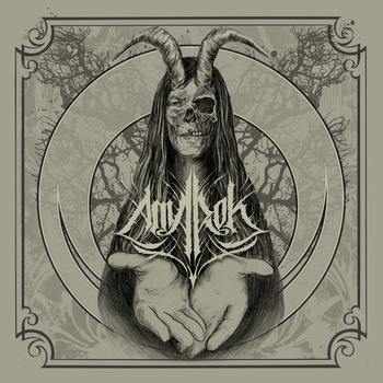 AMAROK - Amarok cover 