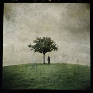 ANA KEFR - The Burial Tree (II) cover 