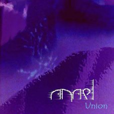 A.N.A.E.L. - Union cover 