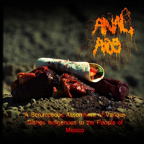 ANAL AIDS - A Scrumptious Assortment of Various Dishes Indigenous to the People of Mexico cover 