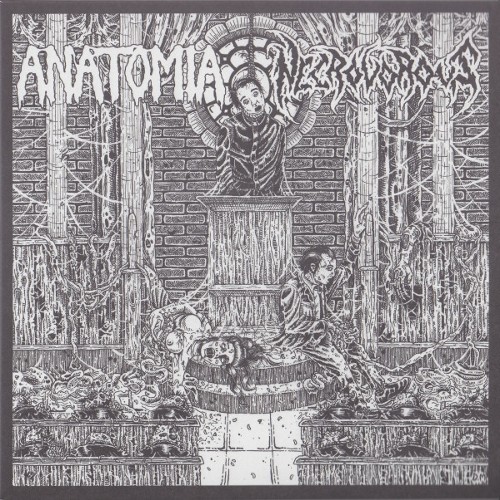 ANATOMIA - Anatomia / Necrovorous cover 