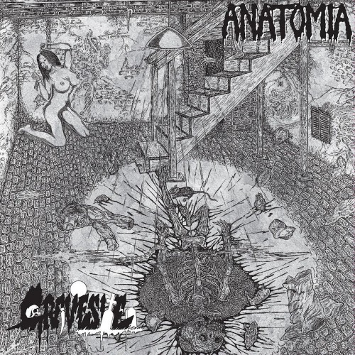 ANATOMIA - Impalement / In the Basement of the Old House cover 
