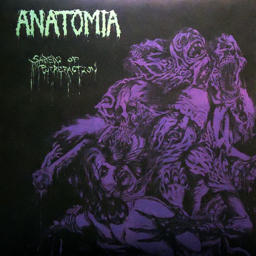 ANATOMIA - Shreds Of Putrefaction cover 