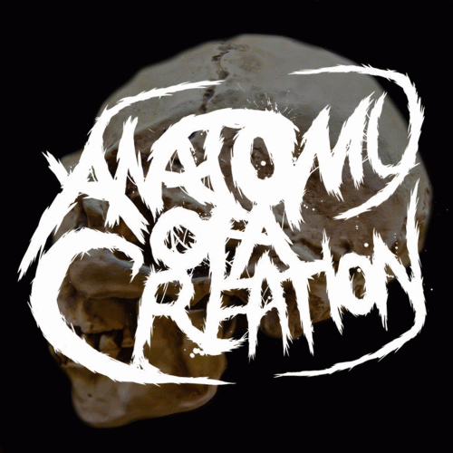 ANATOMY OF A CREATION - Hell cover 