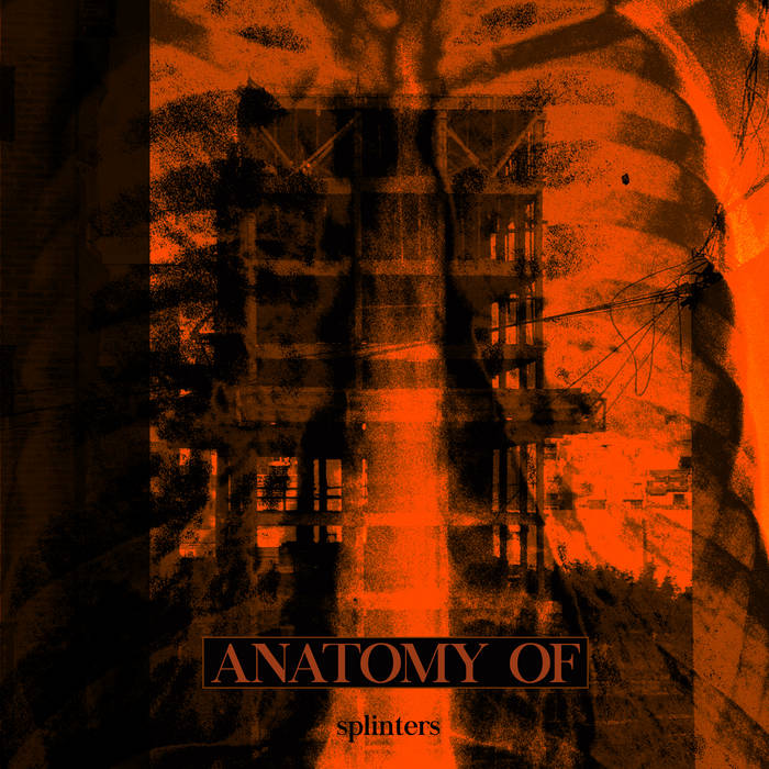 ANATOMY OF - Splinters cover 