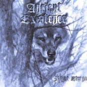 ANCIENT EXISTENCE - Night Eternal cover 
