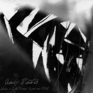 ANDY WINTER - Shades of Light Through Black and White cover 