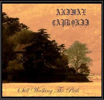 ANIMAE CAPRONII - Still Walking the Path cover 