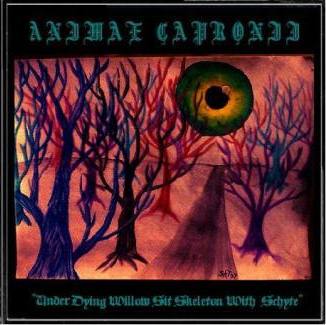 ANIMAE CAPRONII - Under Dying Willow Sit Skeleton with Schyte cover 