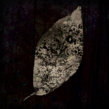 ANNAPURNA - I Am A Leaf cover 