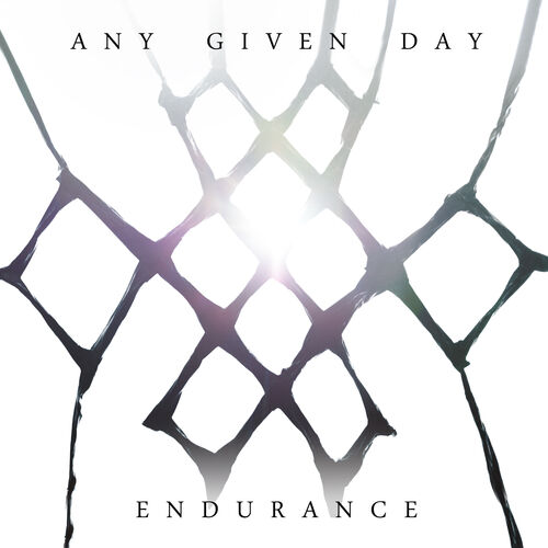 ANY GIVEN DAY - Endurance cover 