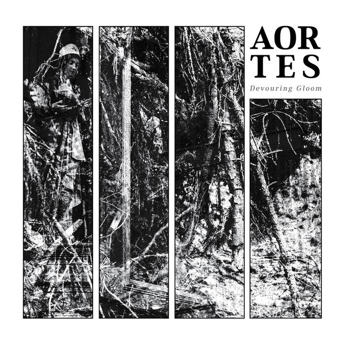 AORTES - Devouring Gloom cover 