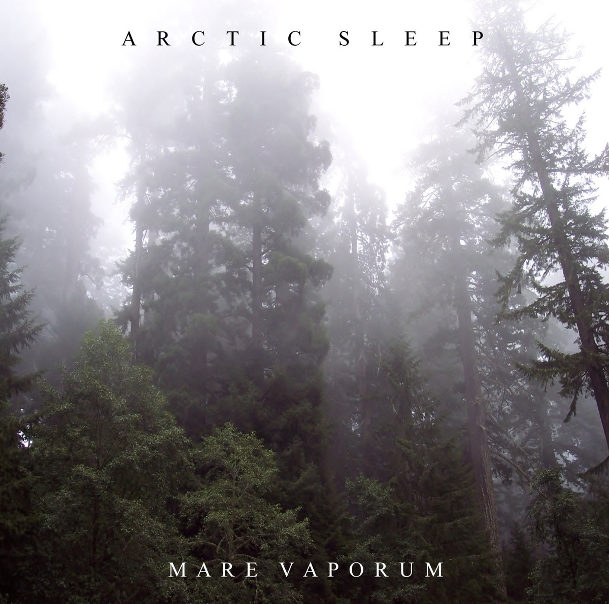 ARCTIC SLEEP - Mare Vaporum cover 