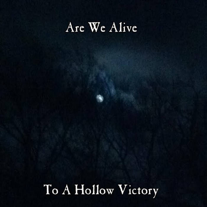ARE WE ALIVE (CT) - To A Hollow Victory cover 