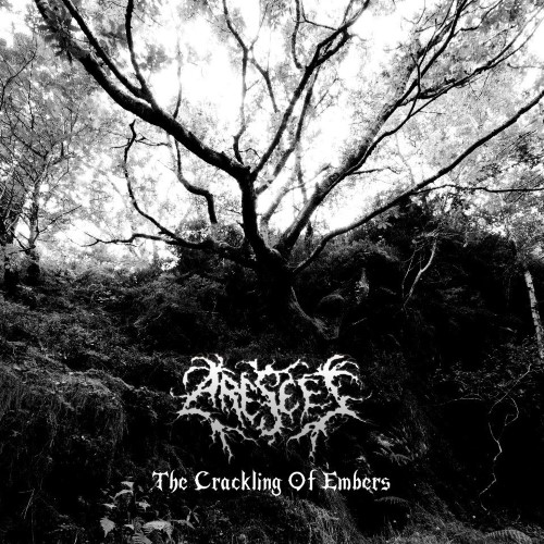 ARESCET - The Crackling of Embers cover 