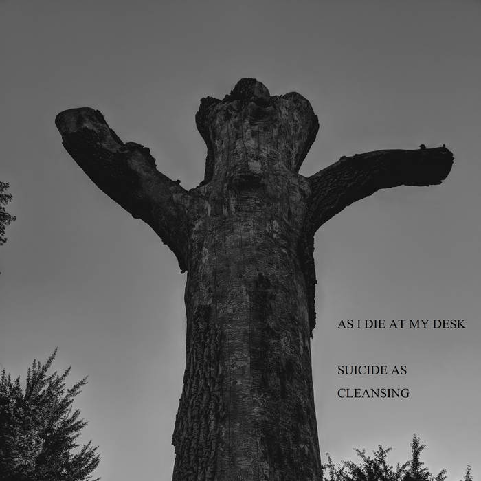 AS I DIE AT MY DESK - Suicide As Cleansing cover 