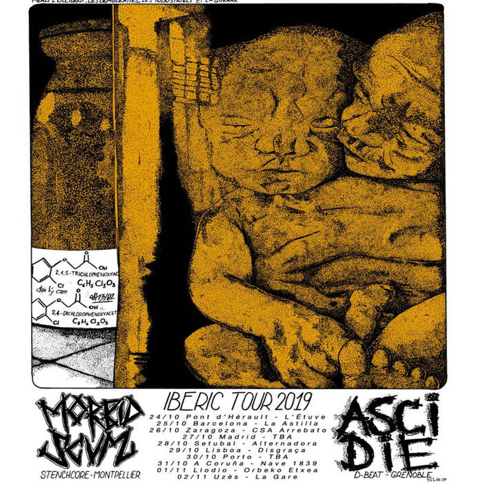 ASCIDIE - Morbid Scum / Ascidie cover 