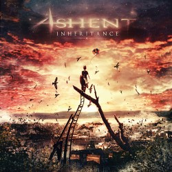 ASHENT - Inheritance cover 