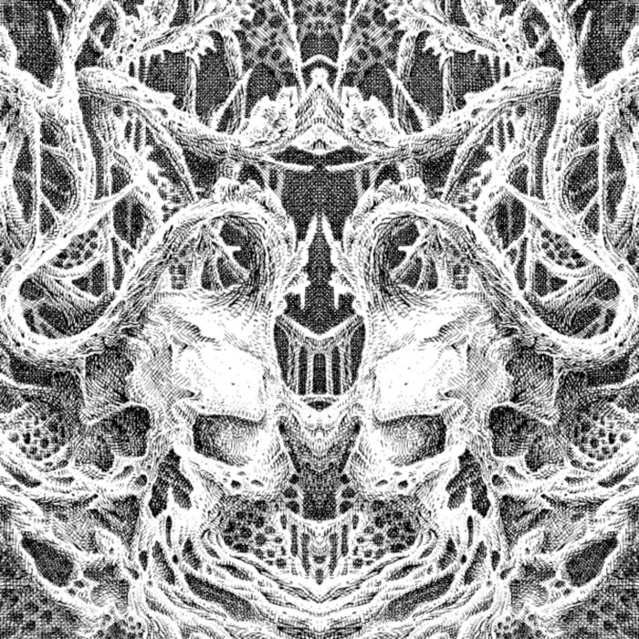 ASKEL - Findoomland cover 