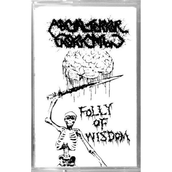 ASOCIAL TERROR FABRICATION - Folly Of Wisdom cover 