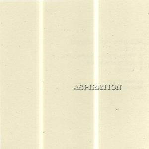 ASPIRATION - Incendiarism cover 