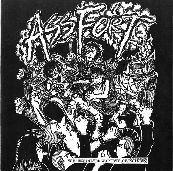 ASSFORT - The Unlimited Variety Of Noises. cover 