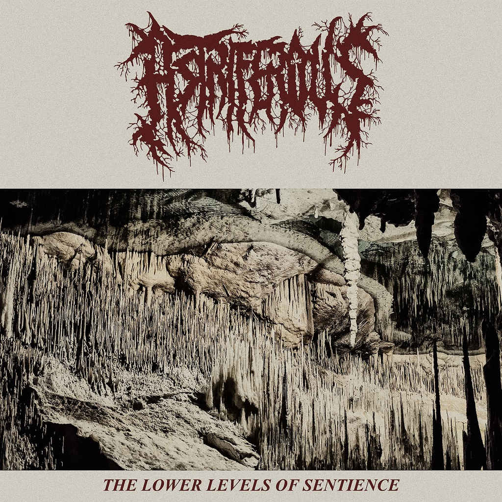 ASTRIFEROUS - The Lower Levels of Sentience cover 