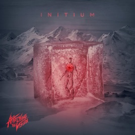ATTACKING THE VISION - Infinitum cover 