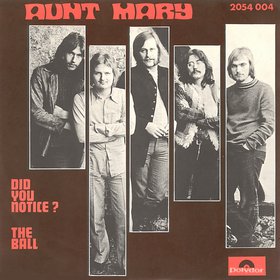 AUNT MARY - Did You Notice / The Ball cover 