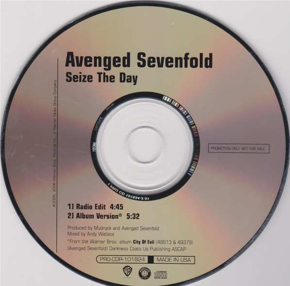 AVENGED SEVENFOLD - Seize The Day cover 
